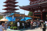 ほうずき市4
