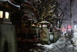 DSC00535