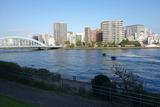 DSC09508