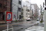 花見雪