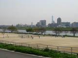 荒川土手