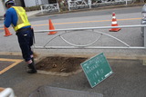 街路樹工事4