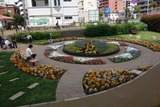 DSC05545