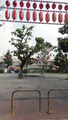 盆踊り
