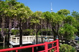 DSC04929