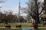 木のぼり