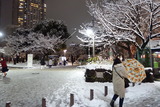 DSC00525