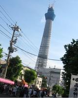 ���ڿ���