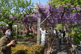 DSC00955