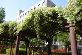 DSC04973