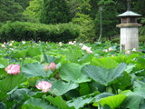 ラジオ塔