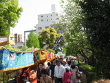 藤祭り17