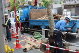 街路樹工事5