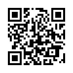 ���ӥ�����