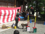 藤祭り9