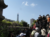 藤祭り14