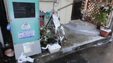雪5