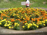 猿江公園11