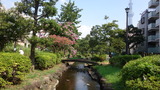 DSC09003