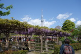 DSC00931