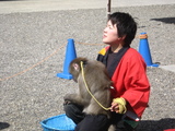 藤祭り11