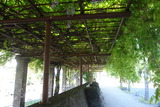 DSC04918