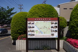 DSC07885