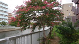 DSC09060