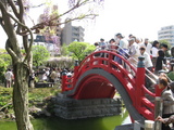 藤祭り13