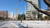 雪6