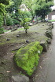 DSC05608