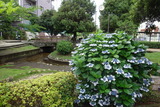 DSC05610
