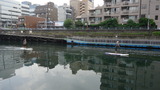横十間川