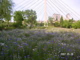 木場公園
