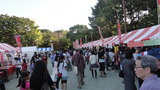 江東区民まつり16
