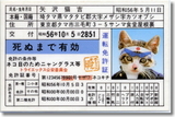 なめんなよ
