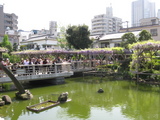 藤祭り12