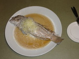 ボブん家4