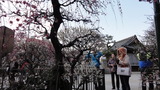 香取神社梅屋敷4