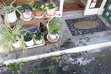 DSC04159