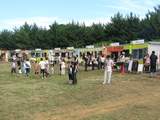 쥬15