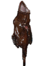 ���󥳥��ߤ뤷�ڤ�