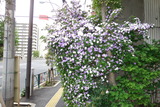 DSC05116
