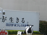 森永2