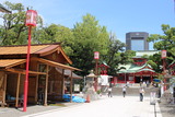 富岡八幡宮8