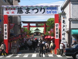藤祭り