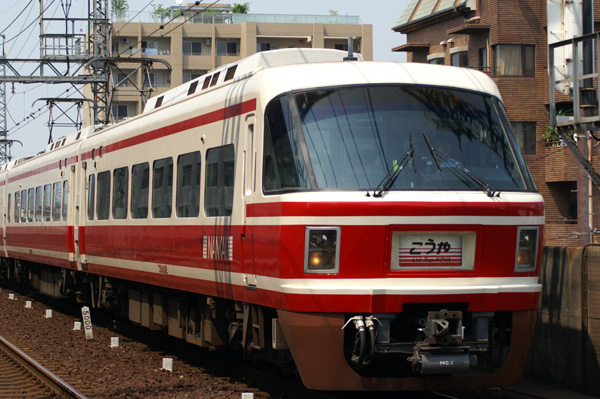 南海高野線の看板特急こうやと通勤特急りんかん 関西中心の鉄道写真