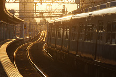 HS5000_A789