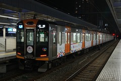 HS1000_B246