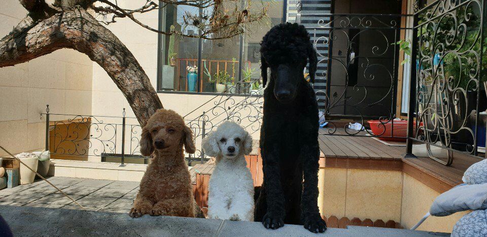 加筆しました 奇跡の４ヶ月 ストリーミングを振り返る ユチョンの魅力まとめブログ